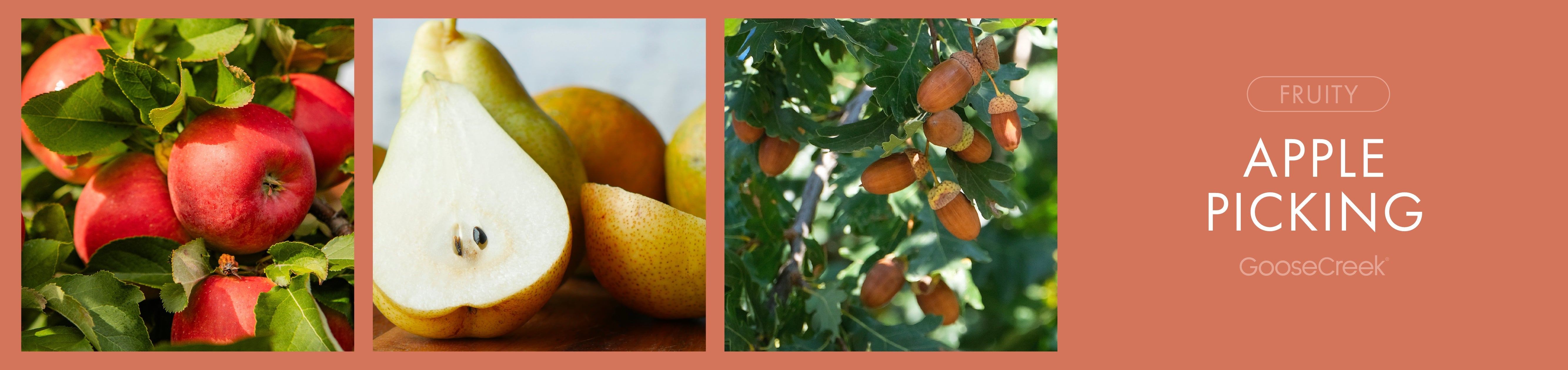 Apple Picking Fragrance-Goose Creek Candle