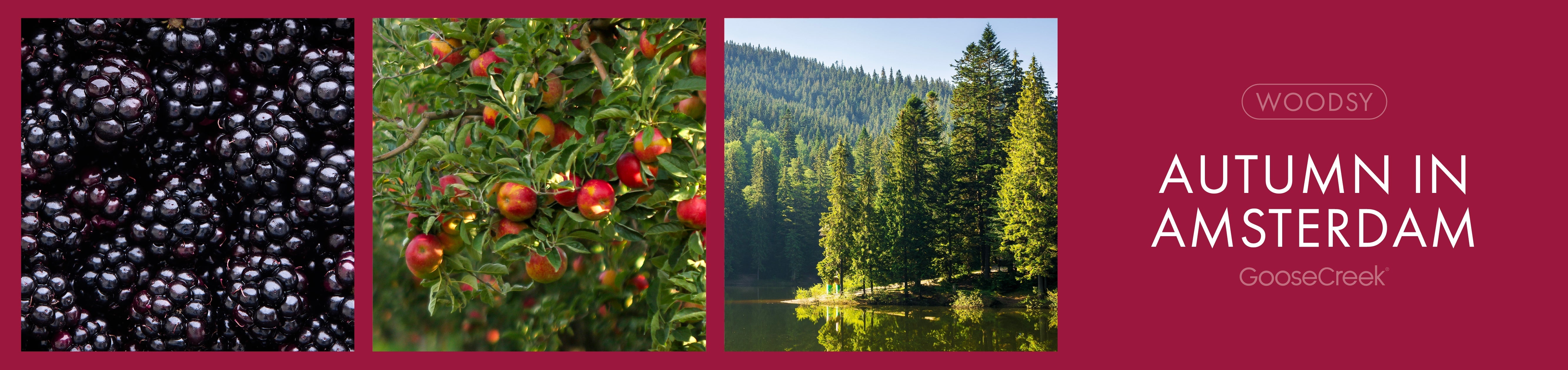 Autumn in Amsterdam Fragrance-Goose Creek Candle