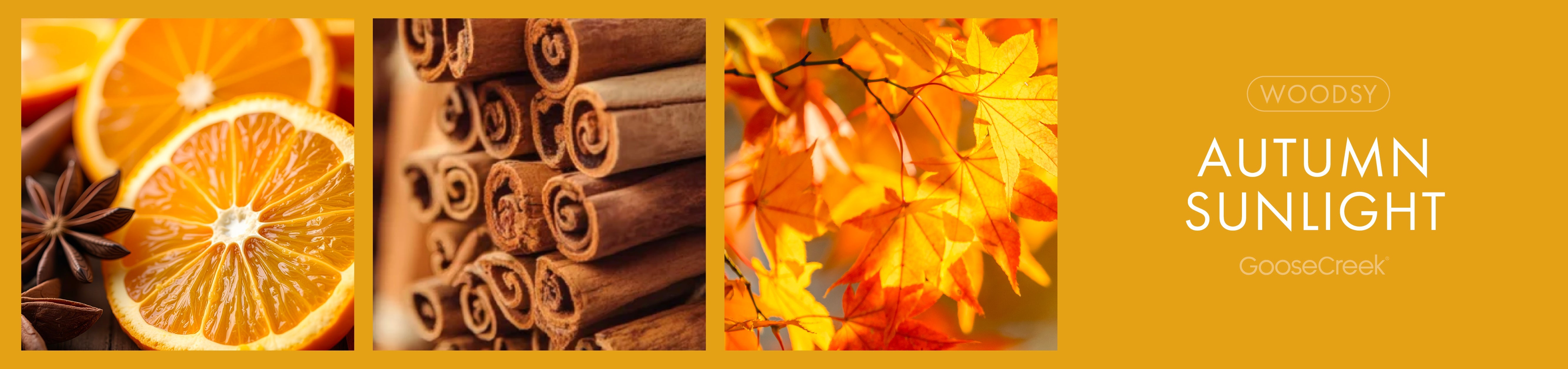 Autumn Sunlight Fragrance-Goose Creek Candle