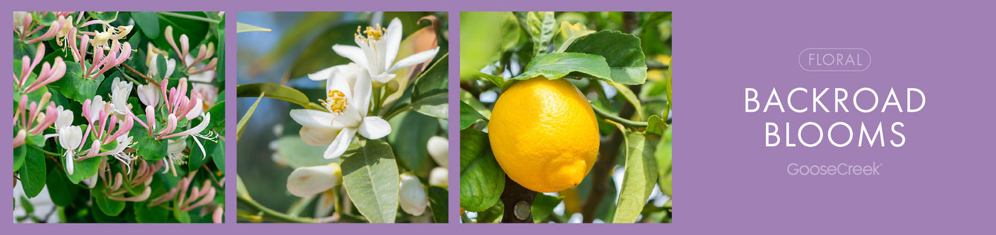 Backroad Blooms Fragrance-Goose Creek Candle