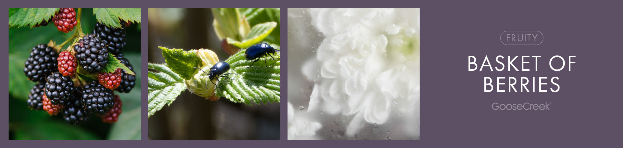Basket of Berries Fragrance-Goose Creek Candle