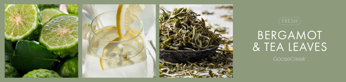 Bergamot & Tea Leaves Fragrance-Goose Creek Candle