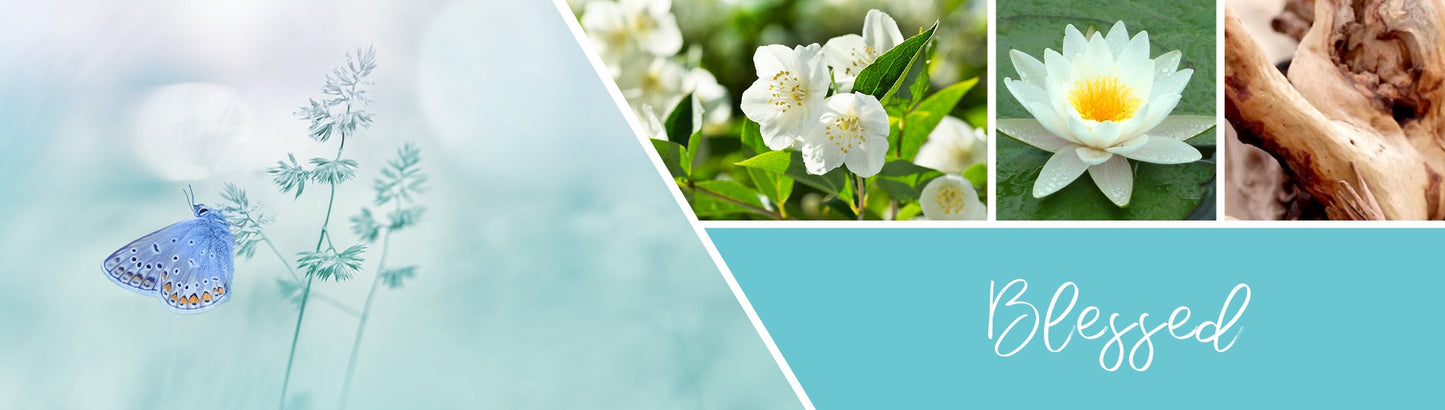 Blessed Fragrance-Goose Creek Candle