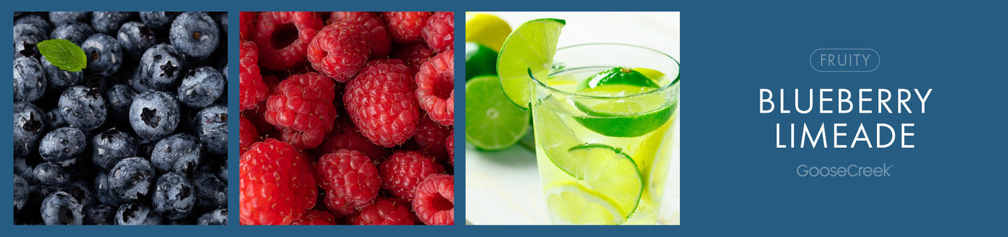 Blueberry Limeade Fragrance-Goose Creek Candle