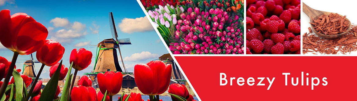 Breezy Tulips Fragrance-Goose Creek Candle