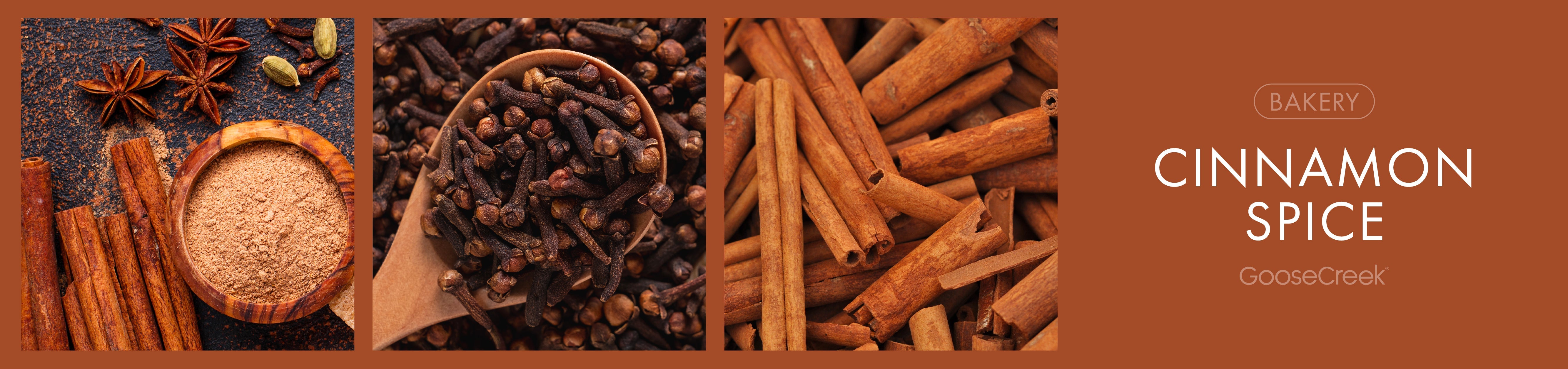 Cinnamon Spice Fragrance-Goose Creek Candle
