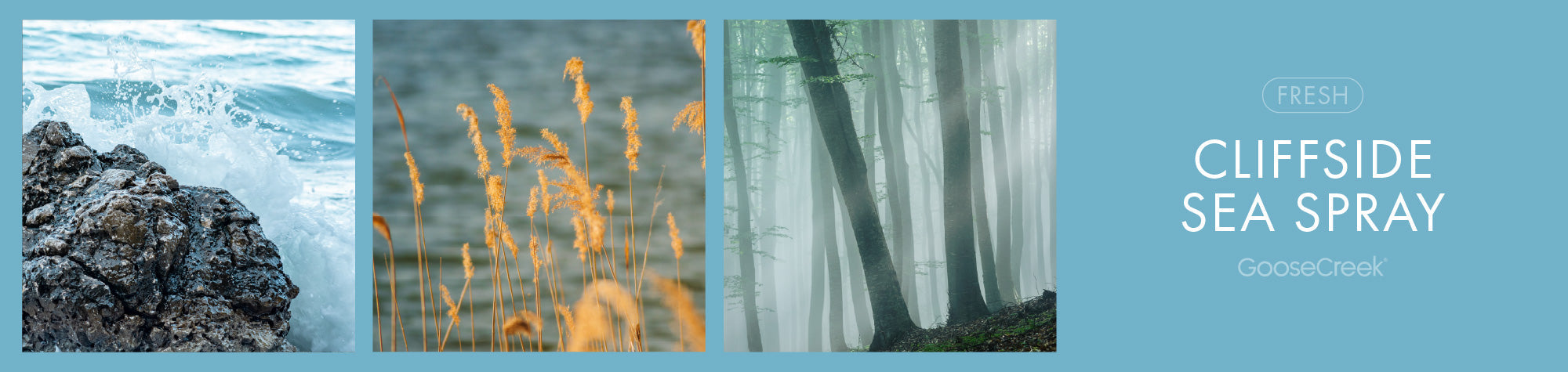 Cliffside Sea Spray Fragrance-Goose Creek Candle