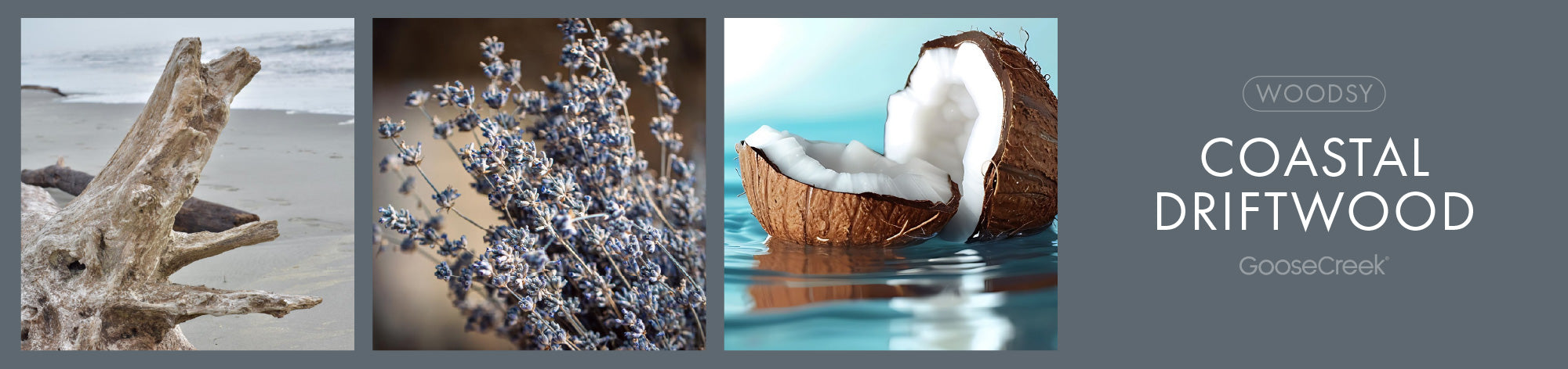 Coastal Driftwood Fragrance-Goose Creek Candle
