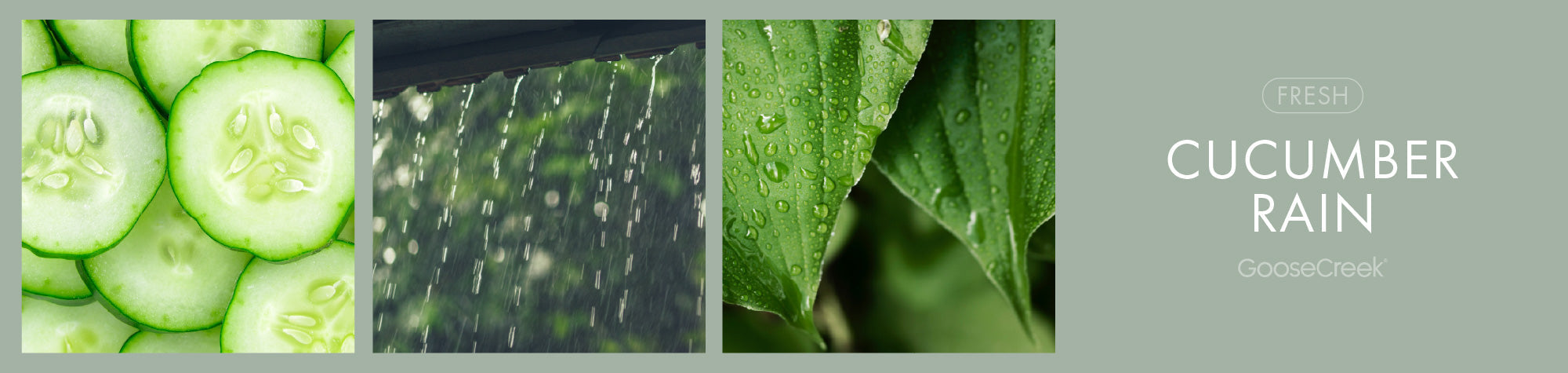 Cucumber Rain Fragrance-Goose Creek Candle