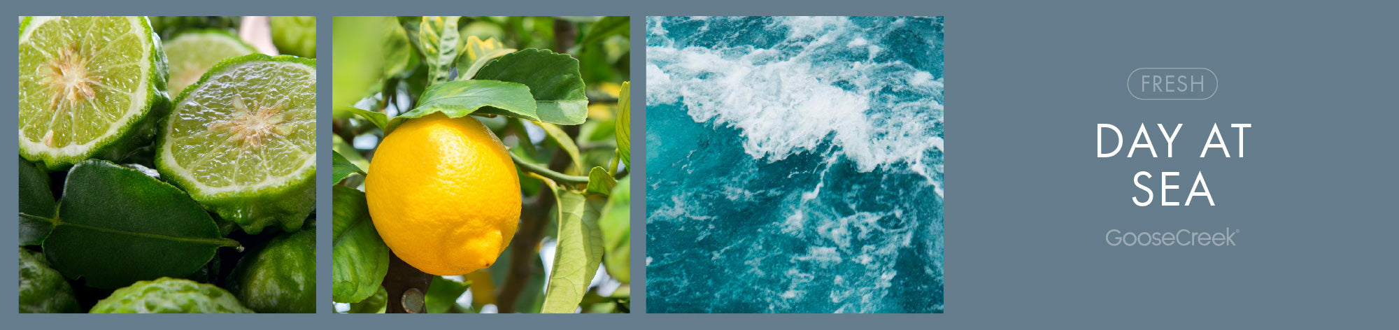 Day At Sea Fragrance-Goose Creek Candle