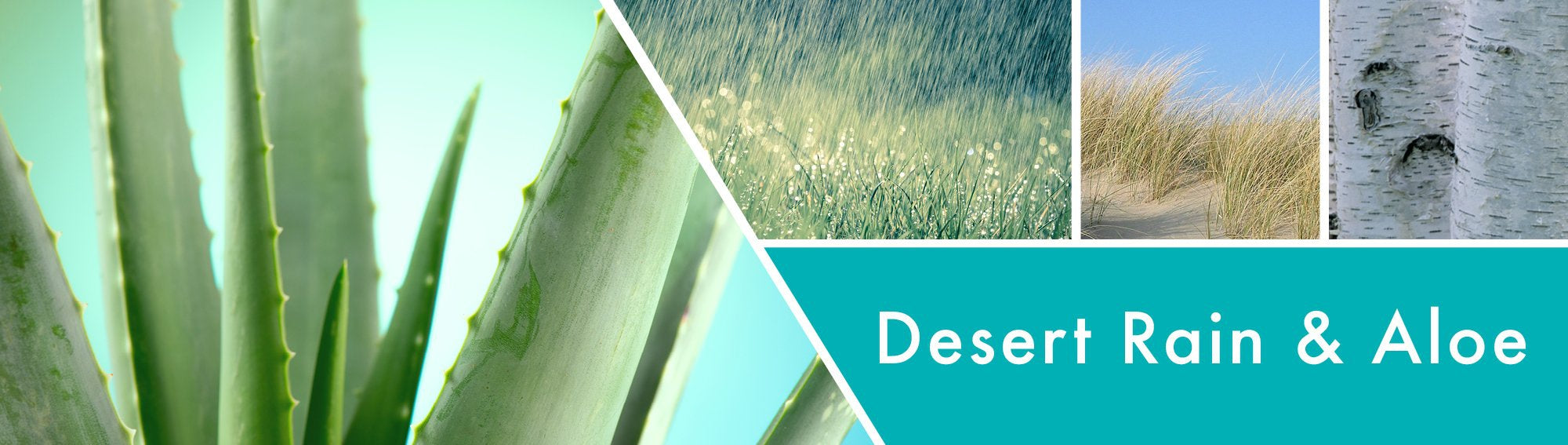 Desert & Rain Aloe Fragrance-Goose Creek Candle