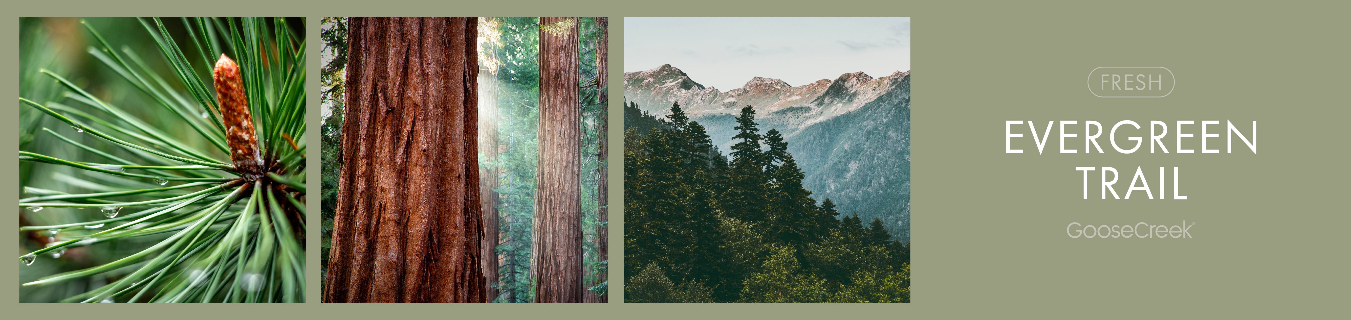 Evergreen Trail Fragrance-Goose Creek Candle