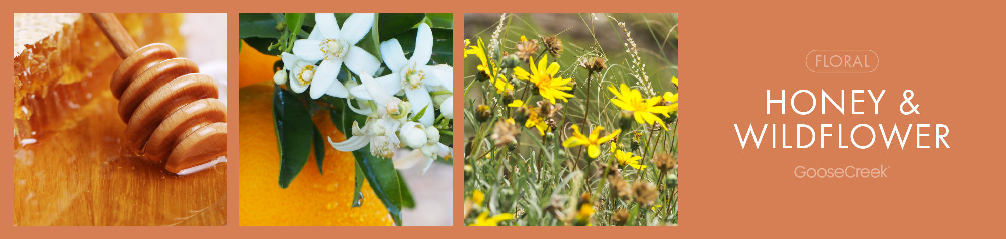 Honey & Wildflower Fragrance-Goose Creek Candle
