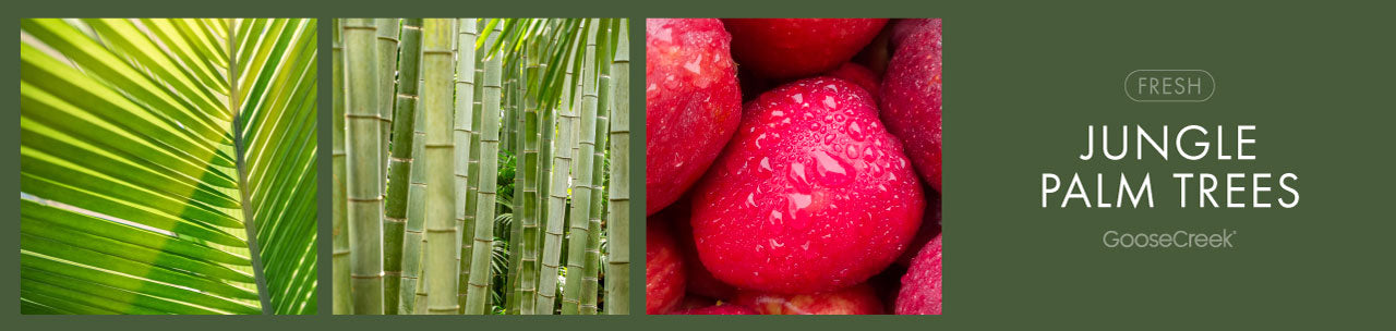 Jungle Palm Trees Fragrance-Goose Creek Candle