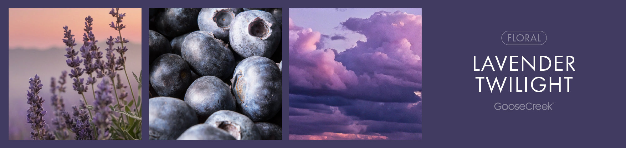 Lavender Twilight Fragrance-Goose Creek Candle