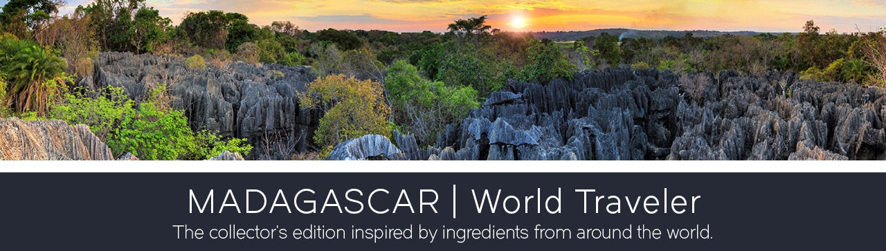 Black Satin Vanilla Fragrance-Goose Creek Candle