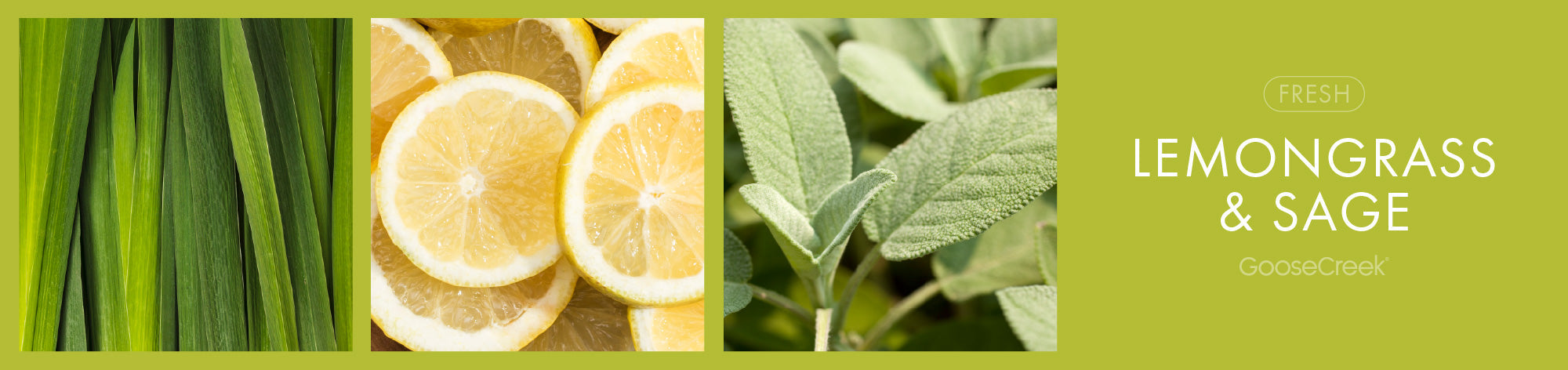 Lemongrass & Sage Fragrance-Goose Creek Candle