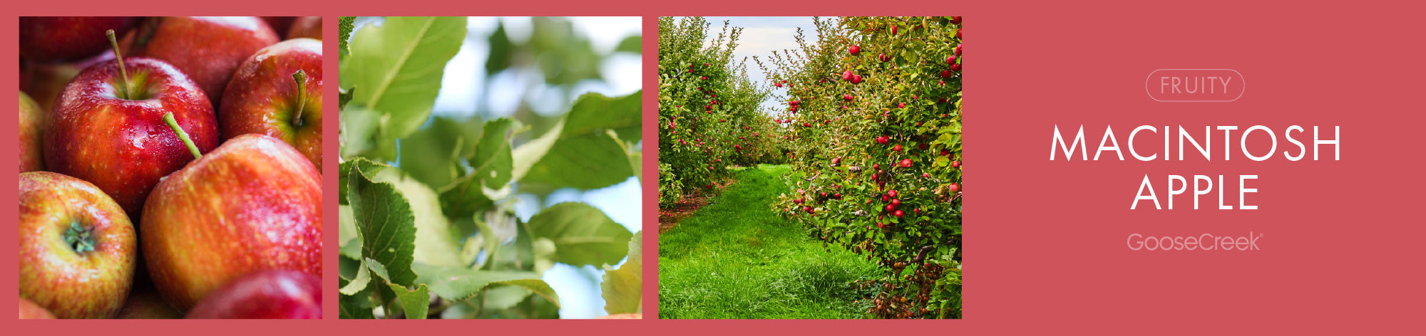 Macintosh Apple Fragrance-Goose Creek Candle
