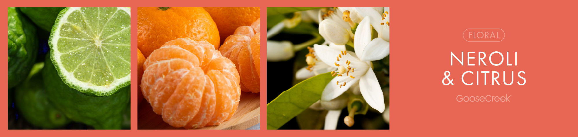 Neroli Citrus Fragrance-Goose Creek Candle