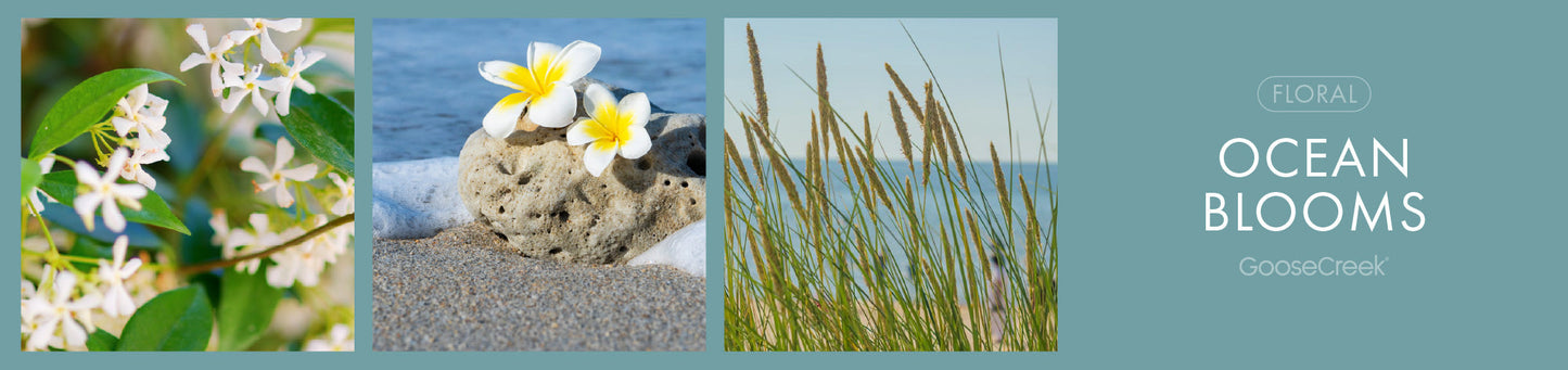 Ocean Blooms	Fragrance-Goose Creek Candle