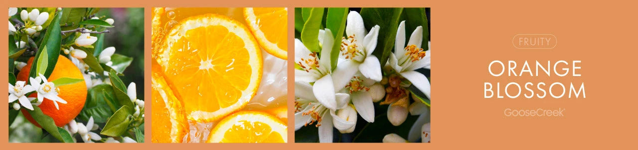 Orange Blossom Fragrance-Goose Creek Candle