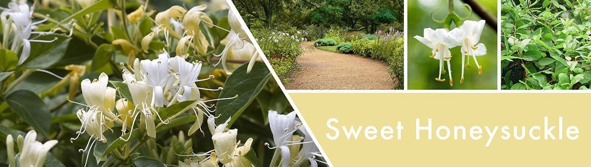 Sweet Honeysuckle Fragrance-Goose Creek Candle