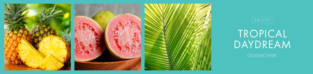 Tropical Daydream Fragrance-Goose Creek Candle