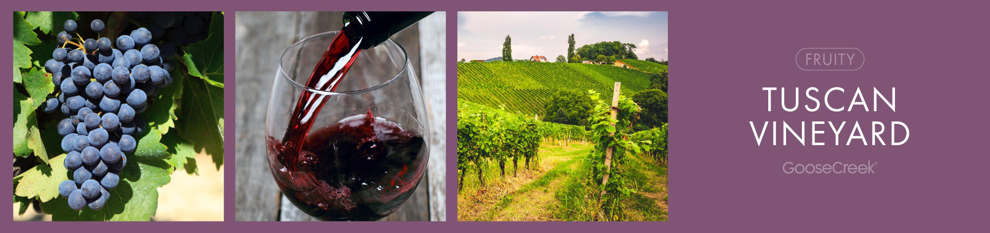 Tuscan Vineyard Fragrance-Goose Creek Candle