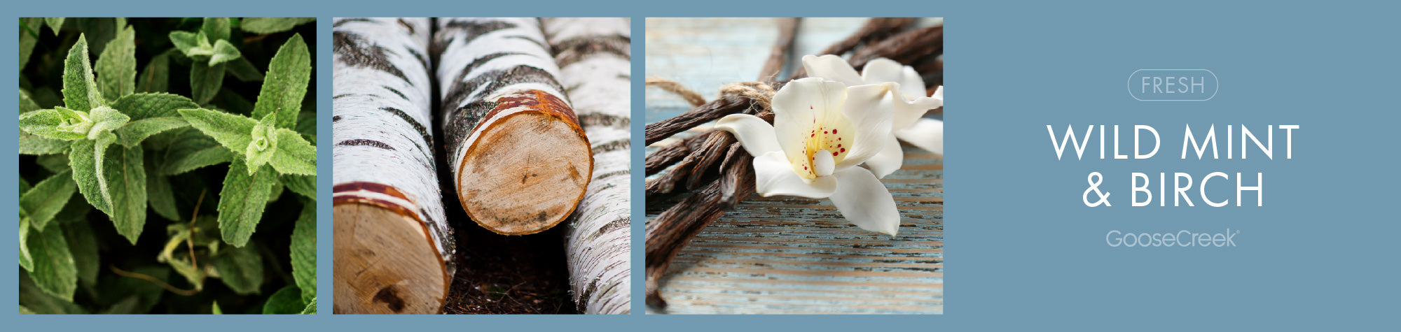 Wild Mint & Birch Fragrance-Goose Creek Candle