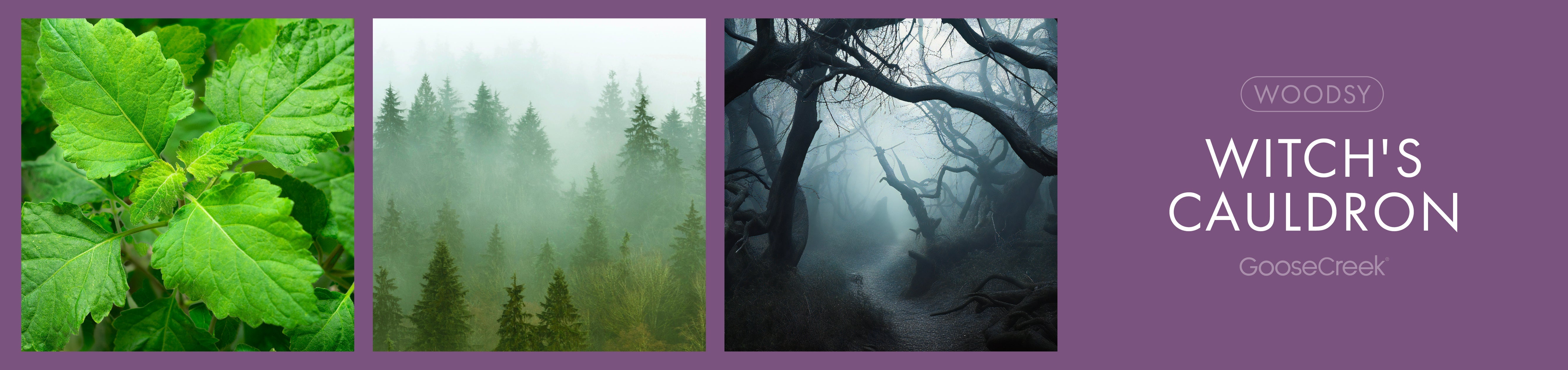 Witch's Cauldron Fragrance-Goose Creek Candle