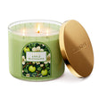 Load image into Gallery viewer, Apple Blossoms 3-Wick Candle