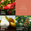 Load image into Gallery viewer, Apple Picking 3-Wick Peanuts Candle