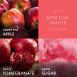Load image into Gallery viewer, Apple Pom Twister 3-Wick Candle
