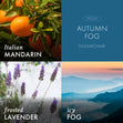 Load image into Gallery viewer, Autumn Fog 3-Wick Candle