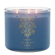 Load image into Gallery viewer, Autumn Fog 3-Wick Candle