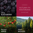Load image into Gallery viewer, Autumn in Amsterdam 3-Wick Candle