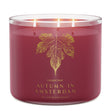 Load image into Gallery viewer, Autumn in Amsterdam 3-Wick Candle