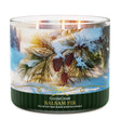 Load image into Gallery viewer, Balsam Fir 3-Wick Candle