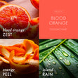 Load image into Gallery viewer, Blood Orange Plug-in Refill