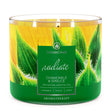 Load image into Gallery viewer, Chamomile & Spruce Aromatherapy Large 3-Wick Candle