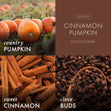 Load image into Gallery viewer, Cinnamon Pumpkin 3-Wick Candle