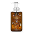 Load image into Gallery viewer, Cinnamon Pumpkin Lush Foaming Hand Soap