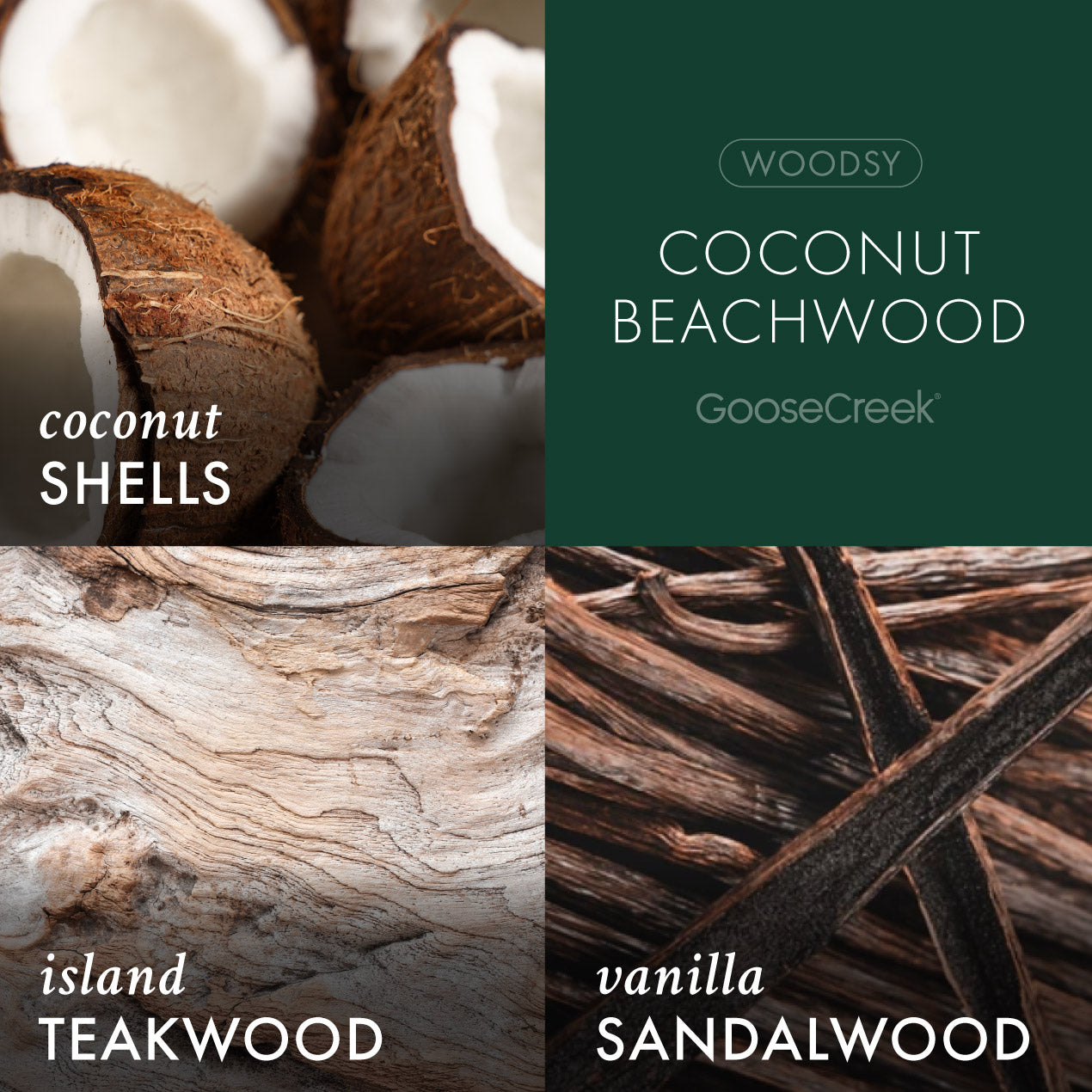 Coconut Beachwood 3-Wick Candle
