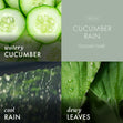 Load image into Gallery viewer, Cucumber Rain Wax Melt