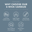 Load image into Gallery viewer, Day at Sea 3-Wick Candle