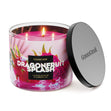 Load image into Gallery viewer, Dragonfruit Splash 3-Wick Candle
