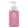 Load image into Gallery viewer, Dragonfruit Splash Lush Foaming Hand Soap