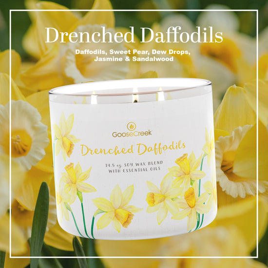 Drenched Daffodils Large 3-Wick Candle