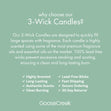 Load image into Gallery viewer, Eucalyptus Garland Aromatherapy 3-Wick Candle