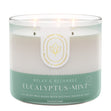 Load image into Gallery viewer, Eucalyptus & Mint Aromatherapy 3-Wick Candle